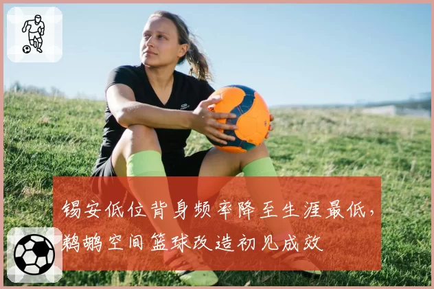 锡安低位背身频率降至生涯最低,鹈鹕空间篮球改造初见成效