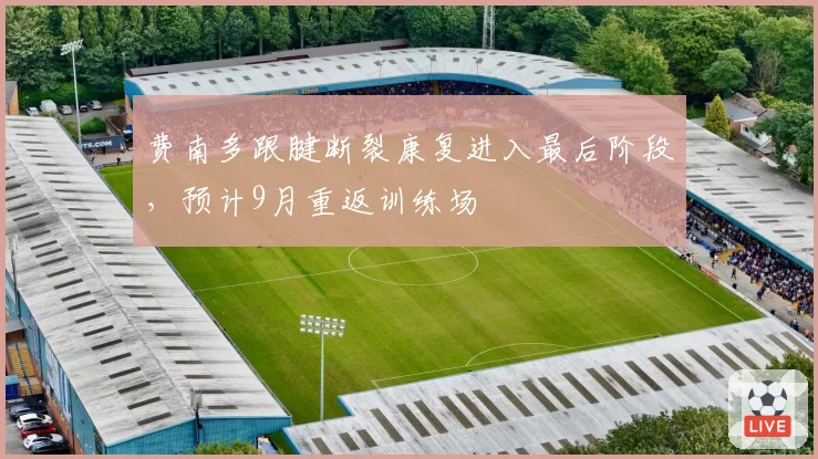 费南多跟腱断裂康复进入最后阶段,预计9月重返训练场