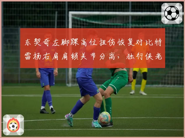 东契奇左脚踝高位扭伤恢复对比特雷杨右肩肩锁关节分离，独行侠老鹰核心回归时间表错位